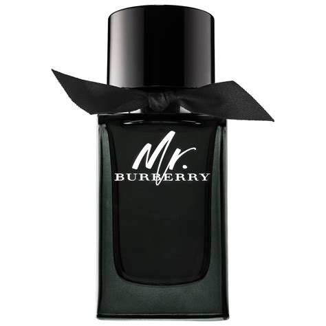 mr burberry 100|mr burberry cologne 2017.